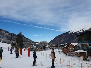 Appartement Morzine Environnement 36