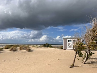 Ferienhaus Borkum Umgebung 25