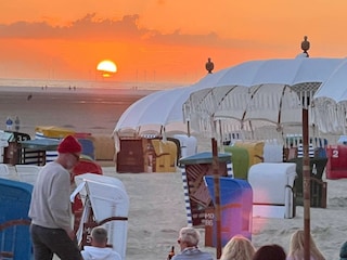 Ferienhaus Borkum Umgebung 26