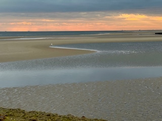 Ferienhaus Borkum Umgebung 29