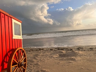 Ferienhaus Borkum Umgebung 35