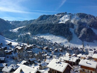 Appartement Morzine Environnement 35