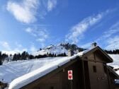 Apartamento Le Grand-Bornand Características 1