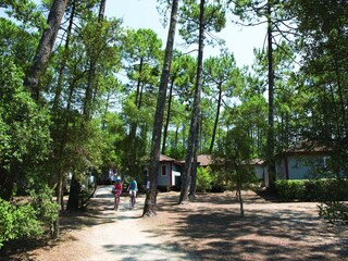 Casa de vacaciones Moliets-Plage Entorno 7