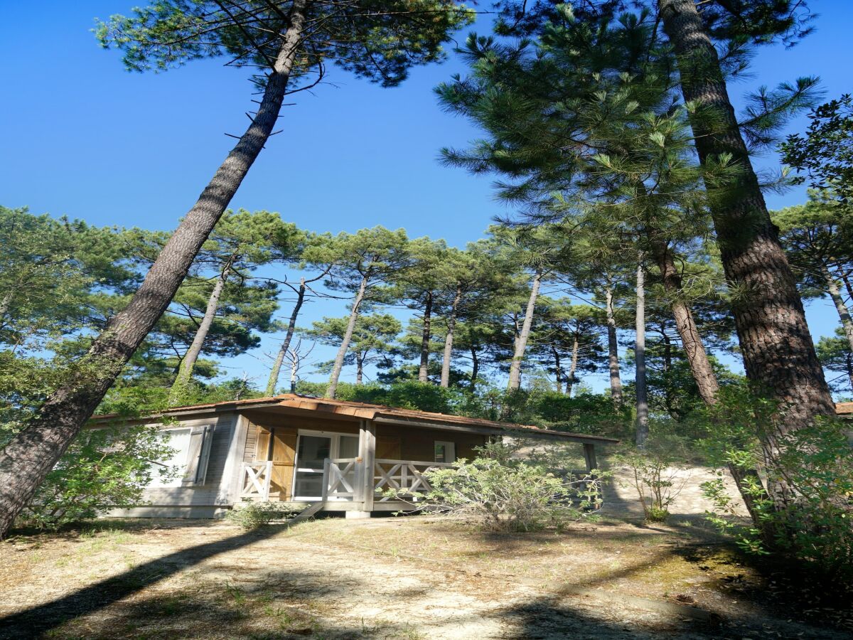 Ferienhaus Moliets-Plage Außenaufnahme 6