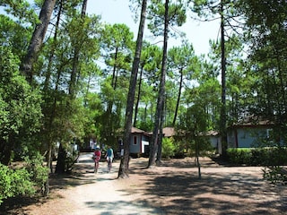 Casa de vacaciones Moliets-Plage Entorno 8