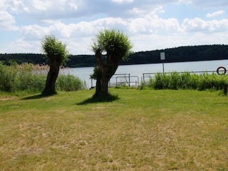 Liegewiese mit Anleger und Bademöglichkeit im Glammsee