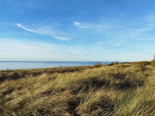 Insel Poel - Dühnen