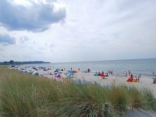 Strand an der Ostsee