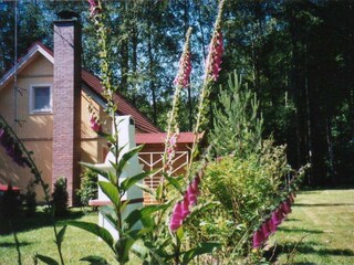 Rear view towards conservation area