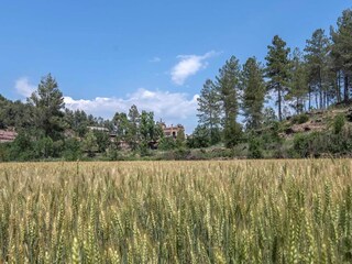 Cottage Cardona Outdoor Recording 3