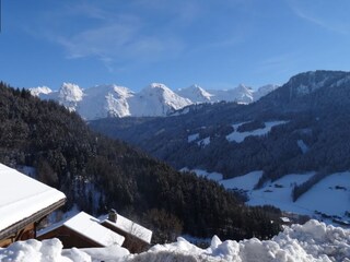 Apartment Le Grand-Bornand Umgebung 27