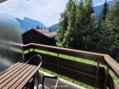 Apartment Le Grand-Bornand Outdoor Recording 1