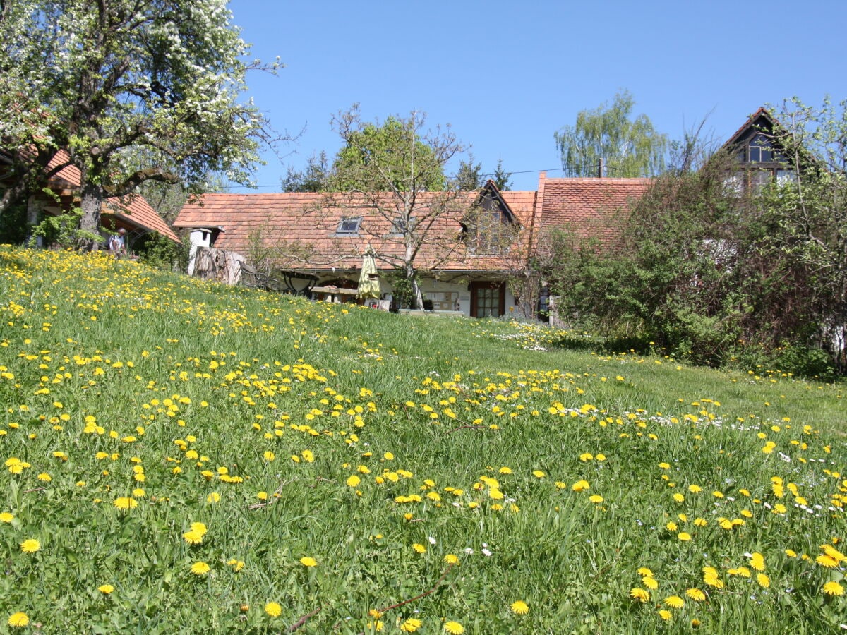 Frühling am Alten Gehöft