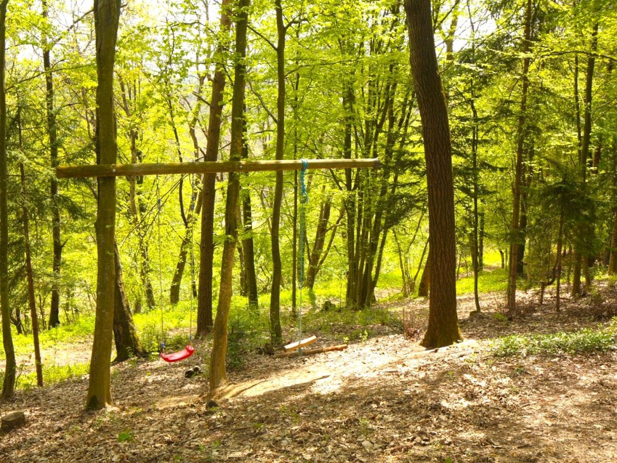 Schaukeln im Zauberwald