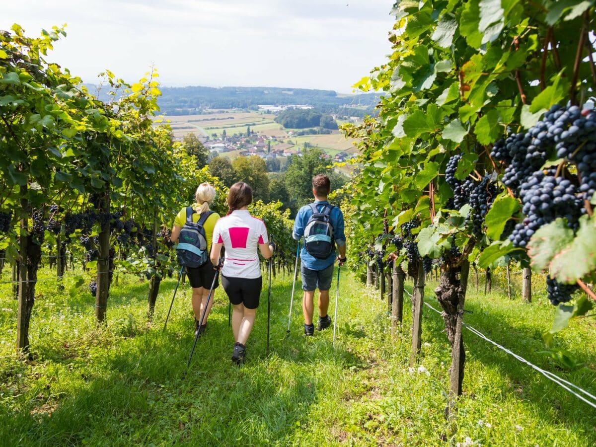 Wandern im Thermen-Vulkanland