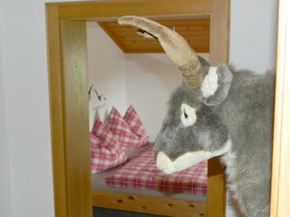 Appartamento per vacanze Maria Alm Caratteristiche 12