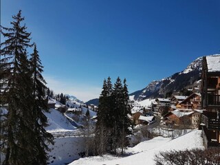 Appartement Le Grand-Bornand Omgeving 23