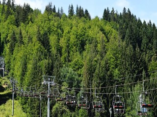Appartement Morzine Environnement 21