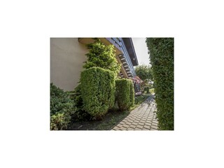 Vakantiepark Rowy Buitenaudio-opname 6