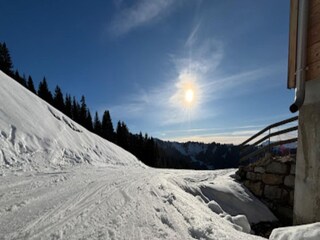 Appartement Morzine Environnement 25