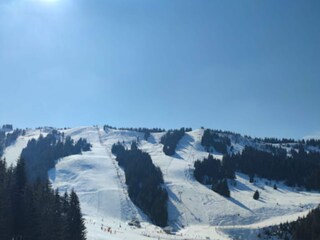 Apartment Morzine Environment 30