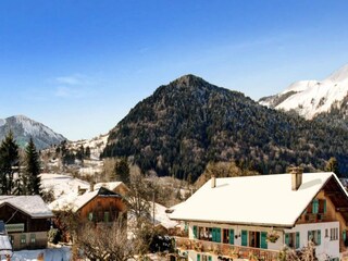 Apartment Montriond  8