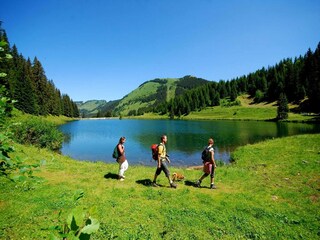 Apartamento Châtel Entorno 26