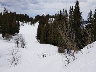 Apartment Morzine Umgebung 31