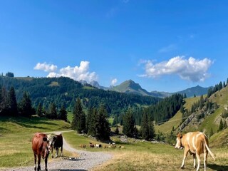 Apartamento La Clusaz Entorno 32