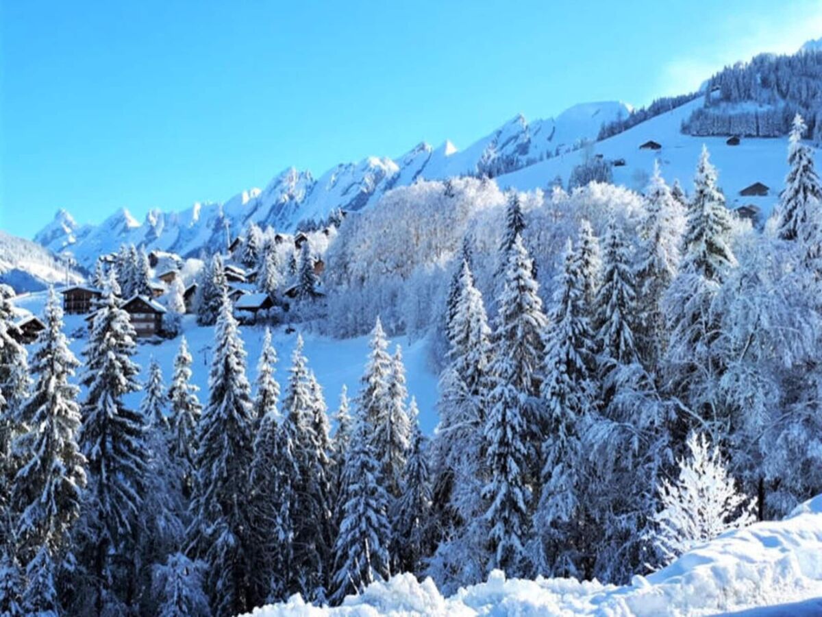 Appartement La Clusaz Buitenaudio-opname 1