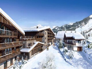 Appartement Châtel Environnement 19