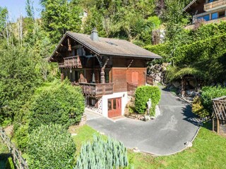 Apartment Montriond  37