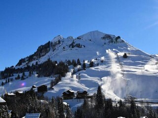 Apartamento Le Grand-Bornand Características 13