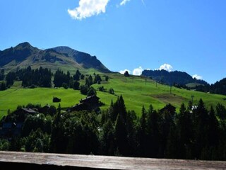 Apartamento Le Grand-Bornand Características 14