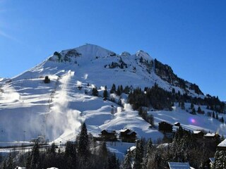 Apartamento Le Grand-Bornand Características 9