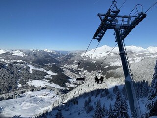 Appartement Morzine Environnement 35
