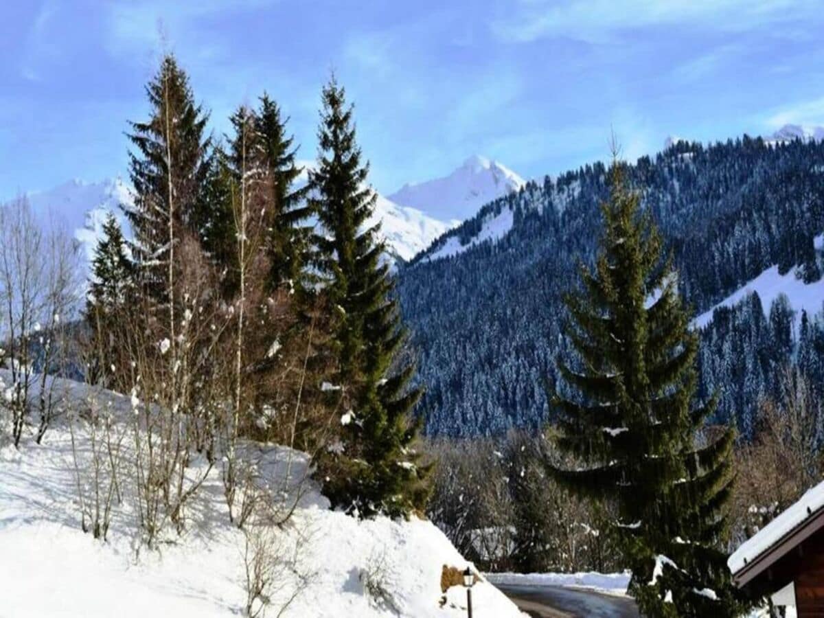 Apartment Le Grand-Bornand Außenaufnahme 1