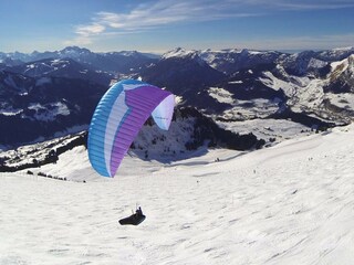 Appartement Le Grand-Bornand Environnement 34