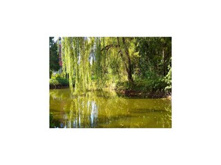 Ferienhaus Wielki Klincz Außenaufnahme 12