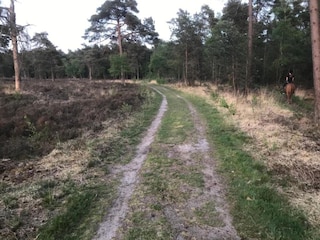 Ferienpark Baak Umgebung 27