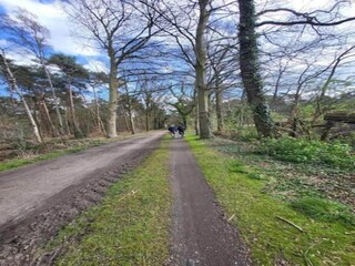 Vakantiepark Baak Omgeving 25