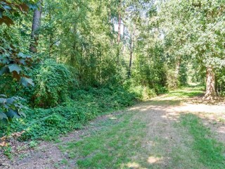 Vakantiepark Baak Omgeving 33