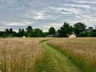 Vakantiepark Baak Omgeving 35