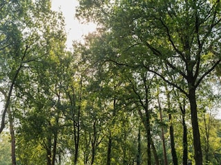 Vakantiepark Hoenderloo Omgeving 16