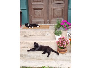 Apartamento de vacaciones Osterode am Harz Grabación al aire libre 4