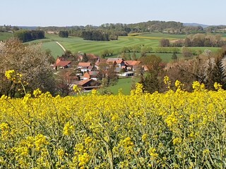 Apartamento de vacaciones Osterode am Harz Entorno 21