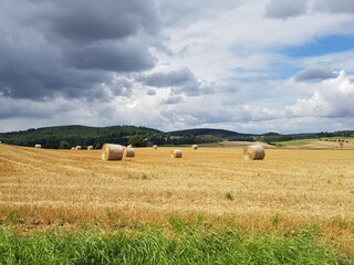 Appartamento per vacanze Osterode am Harz Ambiente 23