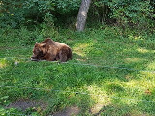 Apartamento de vacaciones Osterode am Harz Entorno 28
