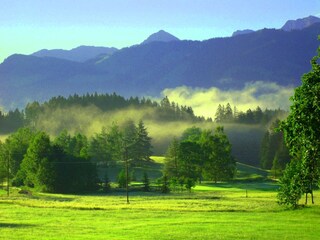 Morgenstimmung vom Garten aus gesehen